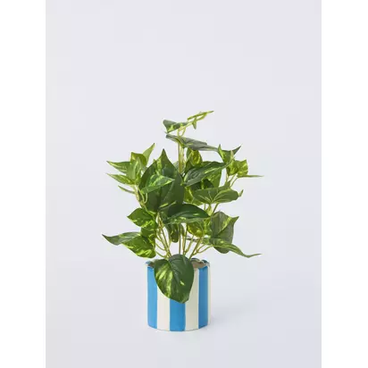 John Lewis Artificial Epipremnum Plant in Striped Ceramic Vase, Blue | H15 x W36 x D15cm