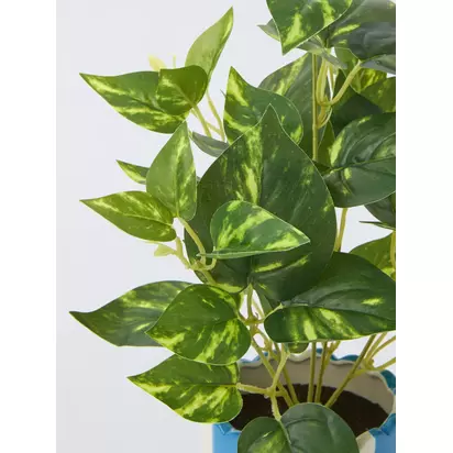 John Lewis Artificial Epipremnum Plant in Striped Ceramic Vase, Blue | H15 x W36 x D15cm