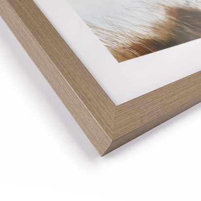 Shoreline Study Framed Art