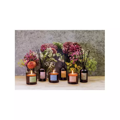 Stoneglow Ginger Lily Reed Diffuser, 160ml Pink | 26.9x7.6x7.6cm