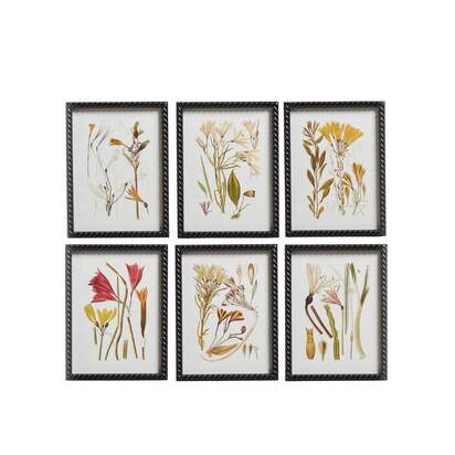OKA | Anna Framed Botanical Prints - Set of Six - Multi | Print