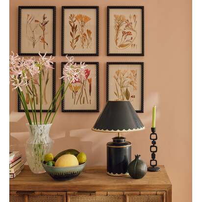 OKA | Anna Framed Botanical Prints - Set of Six - Multi | Print