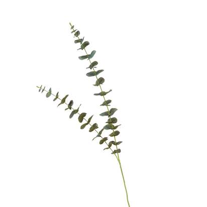 OKA | Faux Double Eucalyptus Stem - Green | Faux Flower Stem