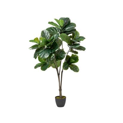 OKA | Faux Fiddle Plant - Medium - Green | Faux Plant