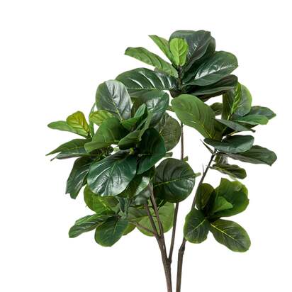 OKA | Faux Fiddle Plant - Medium - Green | Faux Plant