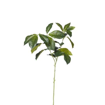 OKA | Faux Laurel Leaves Stem - Green | Faux Flower Stem