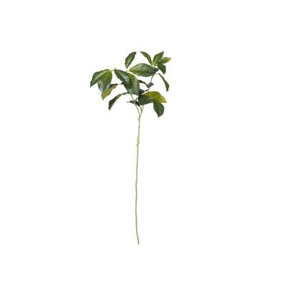 OKA | Faux Laurel Leaves Stem - Green | Faux Flower Stem