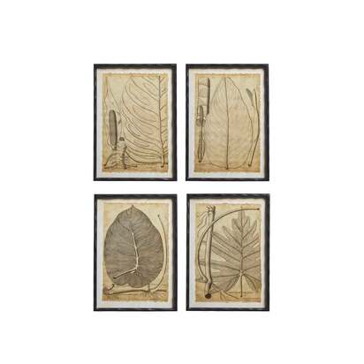 OKA | Basilius Framed Leaf Prints - Set of Four - Natural | Print