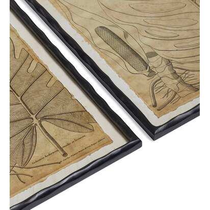 OKA | Basilius Framed Leaf Prints - Set of Four - Natural | Print