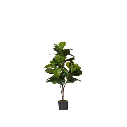 OKA | Faux Fiddle Plant - Small - Green | Faux Plant