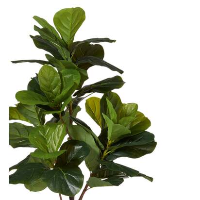 OKA | Faux Fiddle Plant - Small - Green | Faux Plant