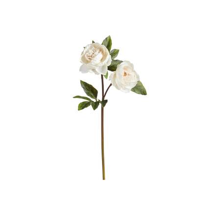 OKA | Faux Double Peony Stem - White | Faux Flower Stem
