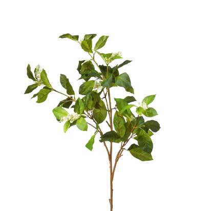 OKA | Faux Camellia and Berry Branch - Green | Faux Flower Branch