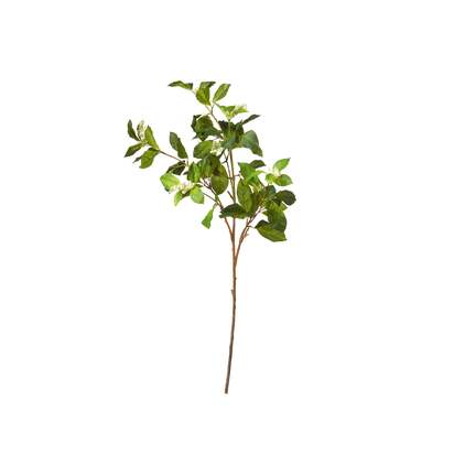 OKA | Faux Camellia and Berry Branch - Green | Faux Flower Branch
