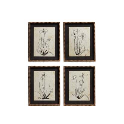 OKA | Framed Narin Prints - Set of Four - Multi | Print