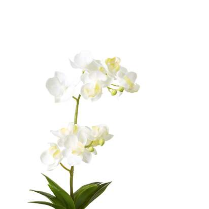 OKA | Faux Potted Mini Orchid - White | Faux Plant