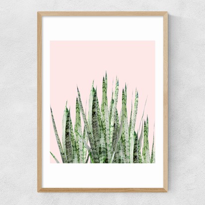 Botanical Balance A3 (29.7 x 42cm) Frame Natural Oak Narrow (15mm) 