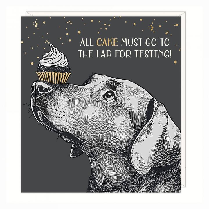 Open uri20250603 16955 13lyta7?1748969234