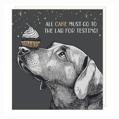 Open uri20250603 16955 13lyta7?1748969234