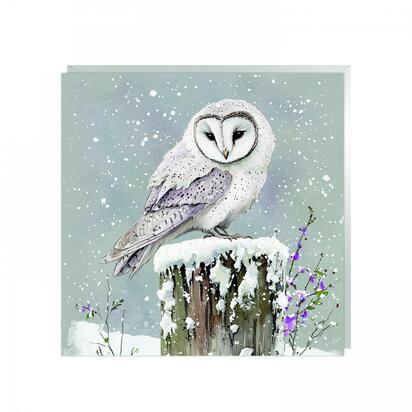 Glimmer Skies Christmas Cards (48pk)