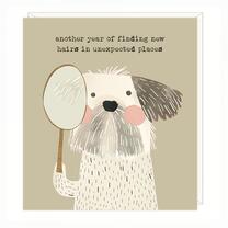 Open uri20250603 16955 54cubs?1748970273