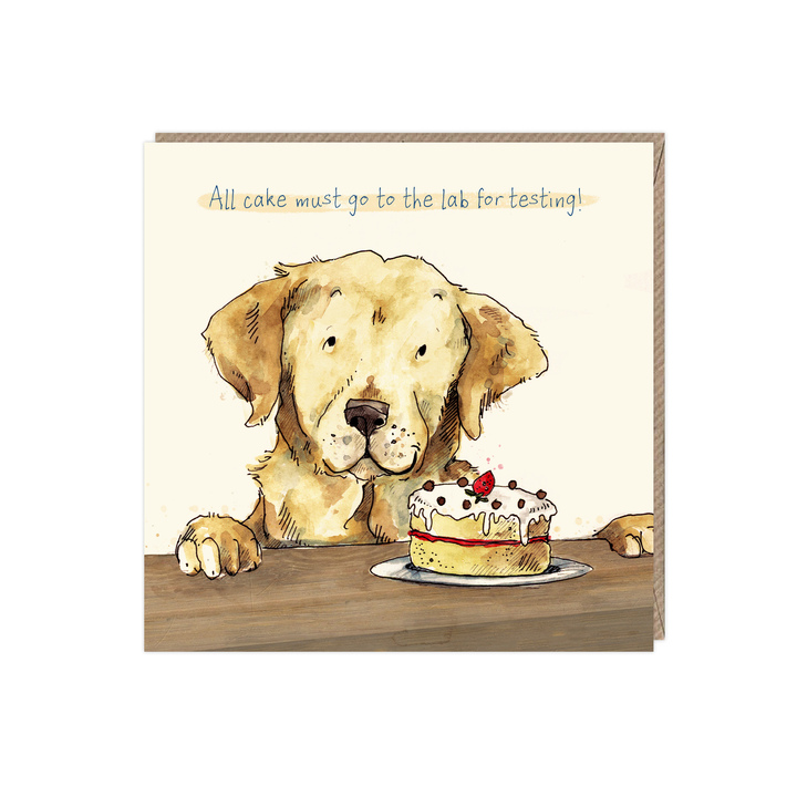 Open uri20250616 9561 1rxssk?1750066080