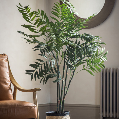 Studio Areca Palm Tree Large 960x960x1520mm  - Large