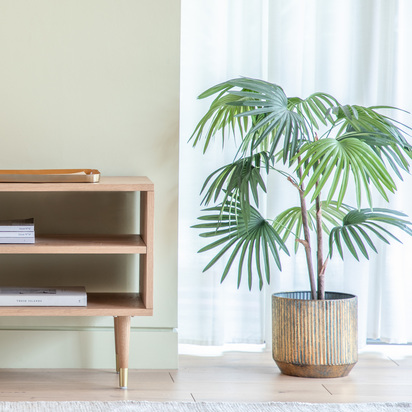 Studio Chinese Fan Palm H1170mm  - Small