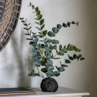 Studio Eucalyptus in Soil Dusky Green H460mm