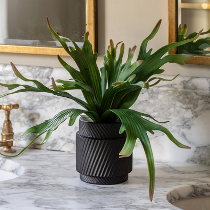 Faux Decorative Playycerium Multi Colour in Ceramic Pot