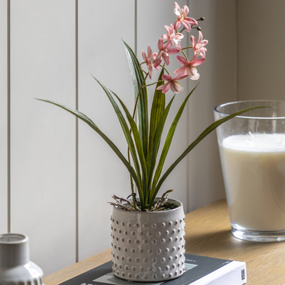 Studio Orchid Pink in White Ceramic Dot Pot 400mm