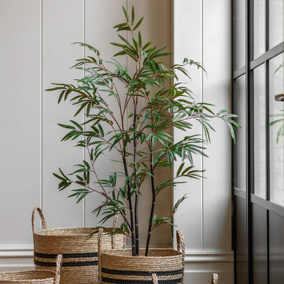 Hadley Bamboo Tree 4ft  - Small
