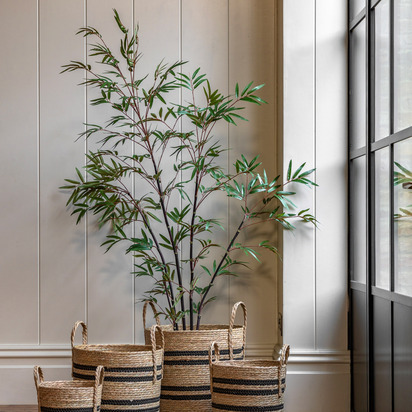 Hadley Bamboo Tree 5ft  - Large