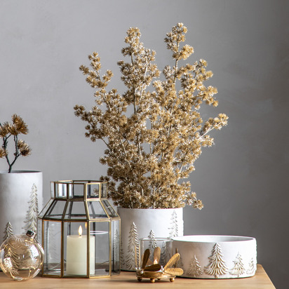 Potted Cedar Pine Gold H770mm