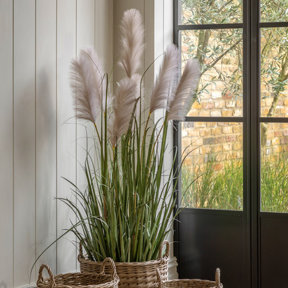 Hadley Grass with Pampas Seed Heads  - Large