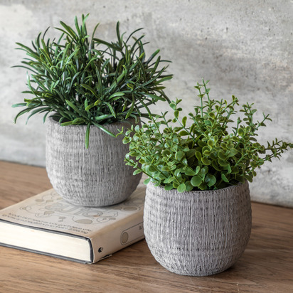 Studio Potted Plant Ceramic Scratch Pot Rosemary Set of 2