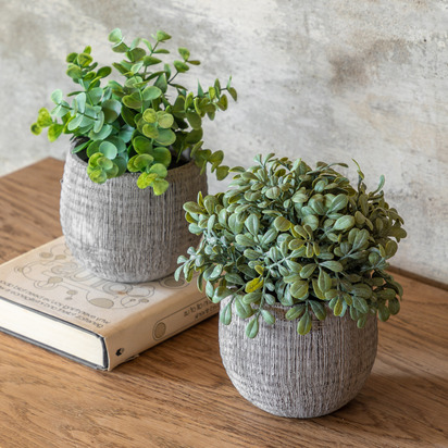 Studio Potted Plant Ceramic Scratch Pots Sage Set of 2