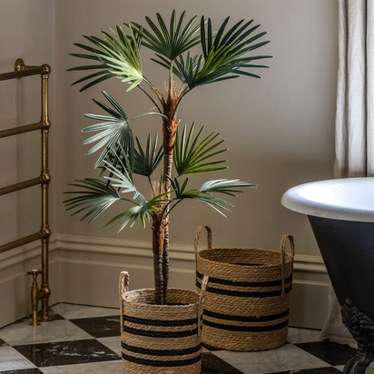 Studio Potted Statement Palm 1580mm  - Large