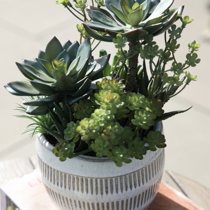 Potted Succulents Ceramic Pot Green Brown H240mm LARGE