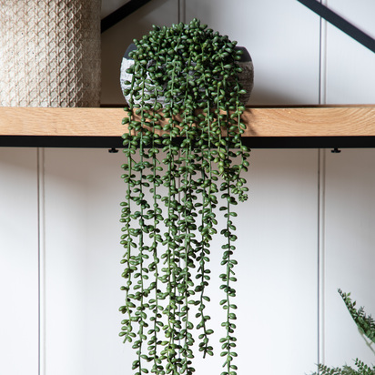 Studio String of Pearls in Soil L710mm