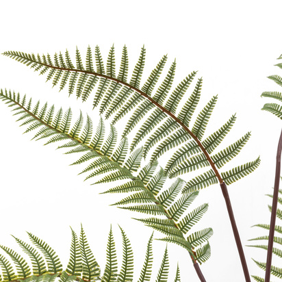 Sutton Fern in Textured Grey Ceramic Pot