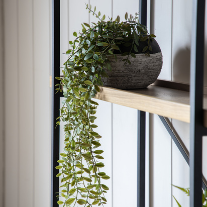 Studio Trailing Fern in Soil Green L600mm