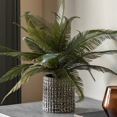 Marlow Fern in Concrete Pot
