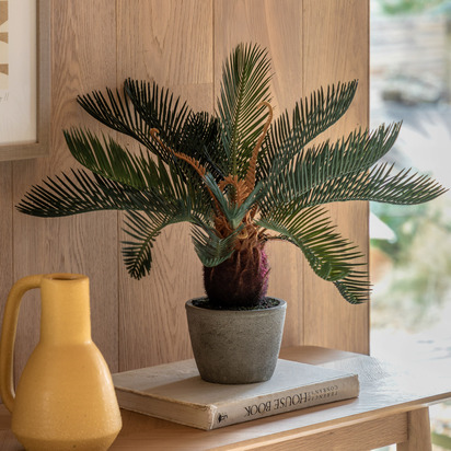 Marlow Palm in Concrete Pot