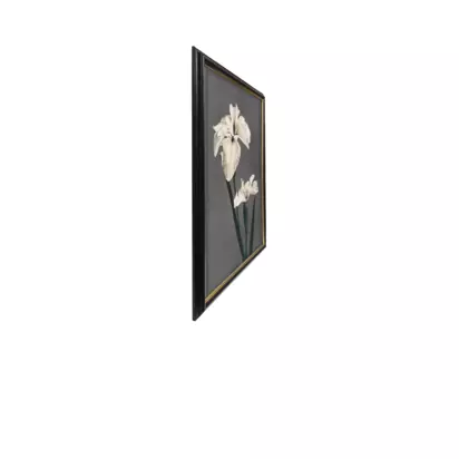 Brookpace Lascelles Ogawa Kazumasa 'Iris Kaempferi' Framed Print, 56 x 46cm, Black/Multi Black/Multi | 56 x 46cm