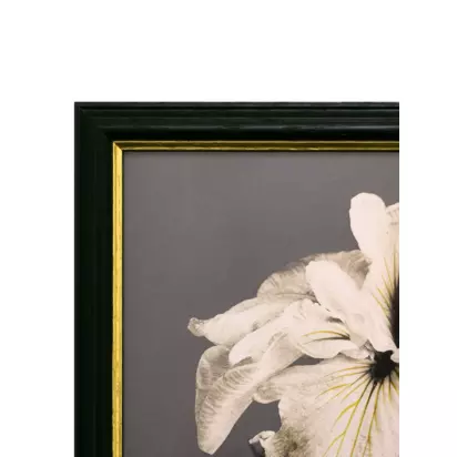 Brookpace Lascelles Ogawa Kazumasa 'Iris Kaempferi' Framed Print, 56 x 46cm, Black/Multi Black/Multi | 56 x 46cm