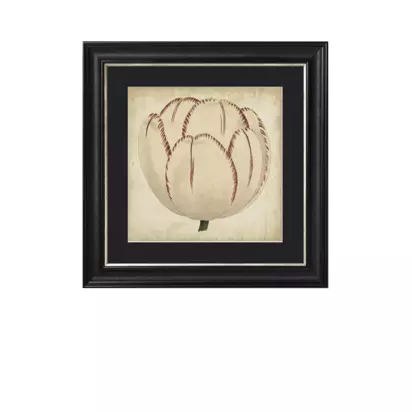 Brookpace Lascelles 'Pop Floral I' Framed Print, 49 x 49cm, Black/Cream Black Cream | 49 x 49 x 3cm