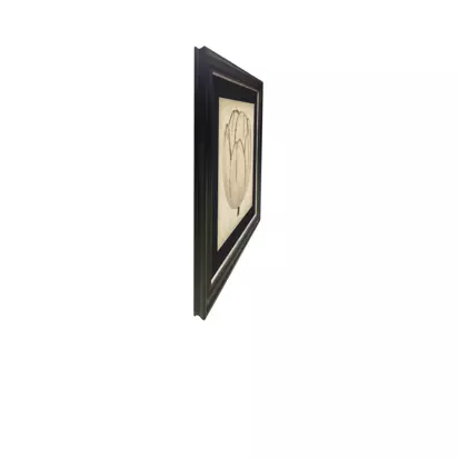 Brookpace Lascelles 'Pop Floral I' Framed Print, 49 x 49cm, Black/Cream Black Cream | 49 x 49 x 3cm
