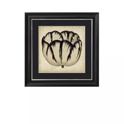 Brookpace Lascelles 'Pop Floral IV' Framed Print, 49 x 49cm, Black/Cream Black Cream | 49 x 49 x 3cm