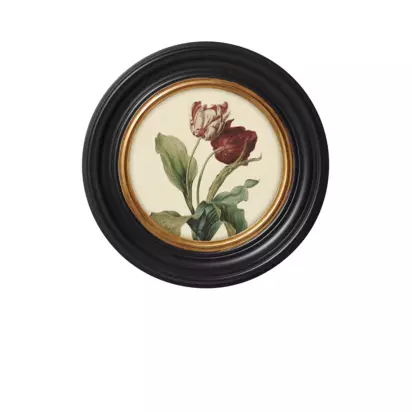 Brookpace Lascelles 'Tulip V' Round Porthole Framed Print, 43cm, Multi Black Multi | Dia.43 x 4.2cm